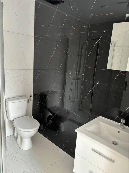 Roanne - Le Studio 103 Dış mekan fotoğraf